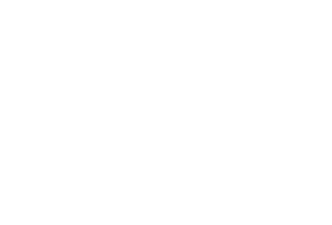 White Brandabout Logo
